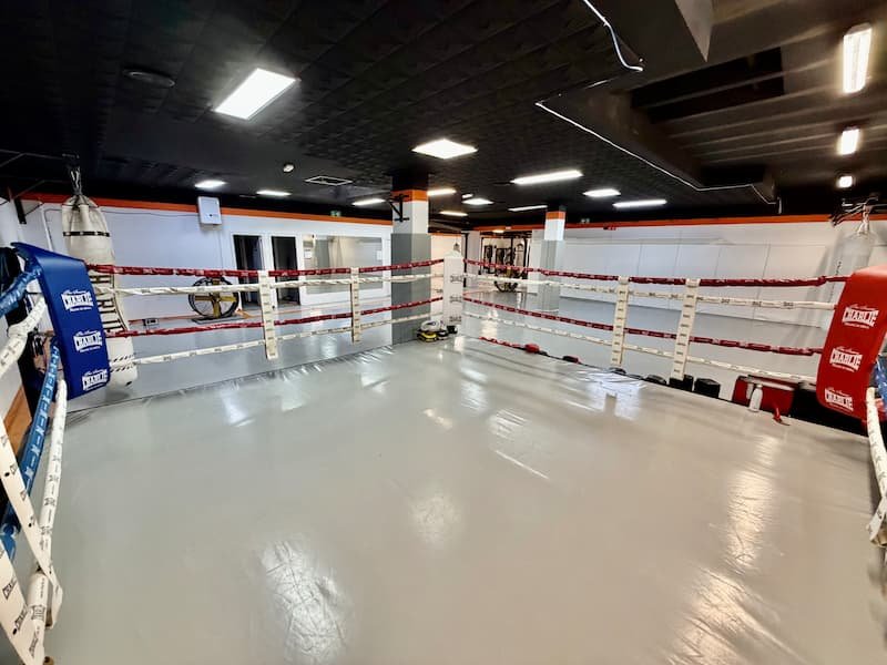 Zona de ring Factory of Fighters